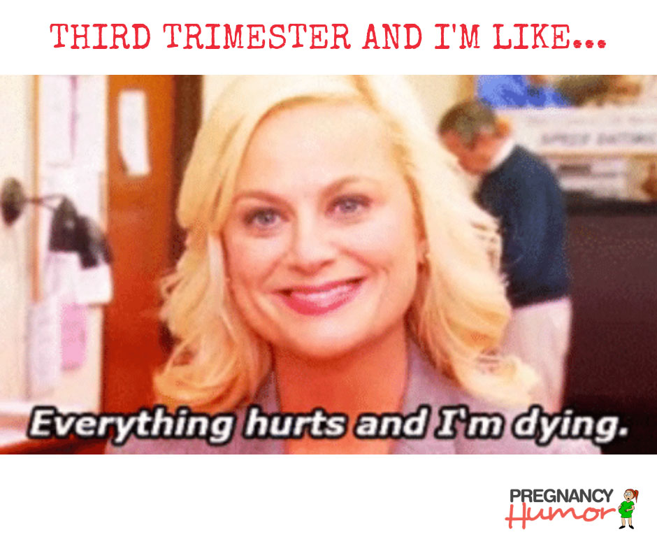 Third Trimester Problems Mother Humor